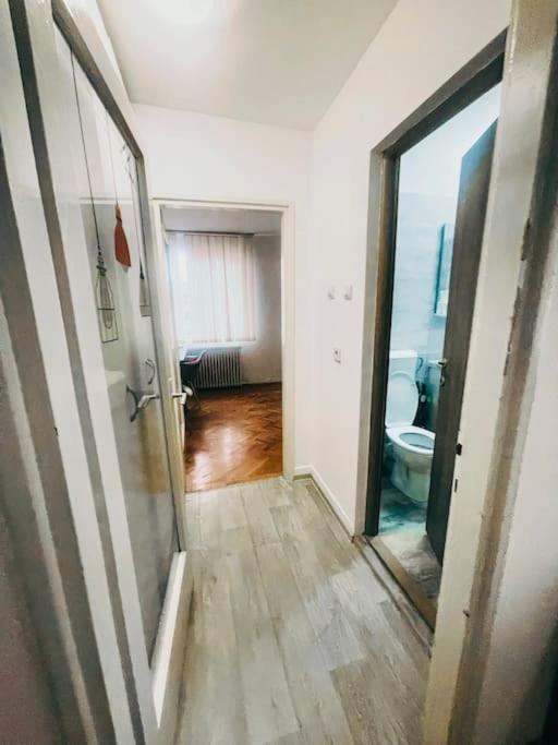 Ultracentral Big Flat Near The Opera Square P17 Timişoara Exteriör bild