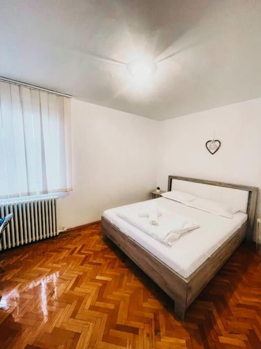 Ultracentral Big Flat Near The Opera Square P17 Timişoara Exteriör bild