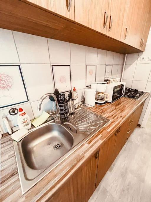 Ultracentral Big Flat Near The Opera Square P17 Timişoara Exteriör bild