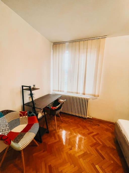 Ultracentral Big Flat Near The Opera Square P17 Timişoara Exteriör bild