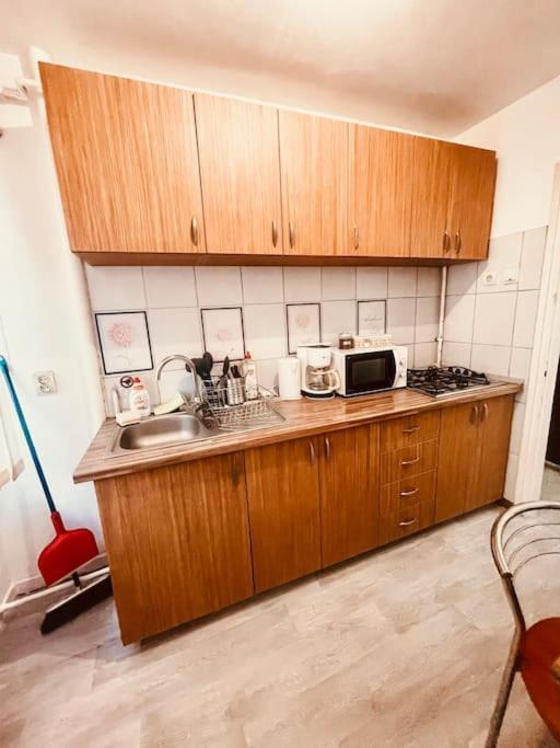 Ultracentral Big Flat Near The Opera Square P17 Timişoara Exteriör bild